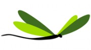 Dallas Whole Life Counseling
