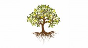 Erickson Counseling & Mediation