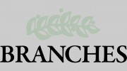 Branches Counseling Center