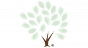 Acorn Counseling & Mediation