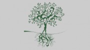 Healing Tree Counseling