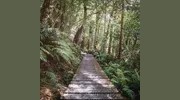 The Path To Well Being