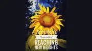Ransburg Counseling