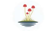 Mirror Pond Counseling