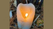 All Seasons Counseling & Spirituality Center