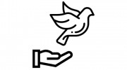 Take Flight Counseling Services